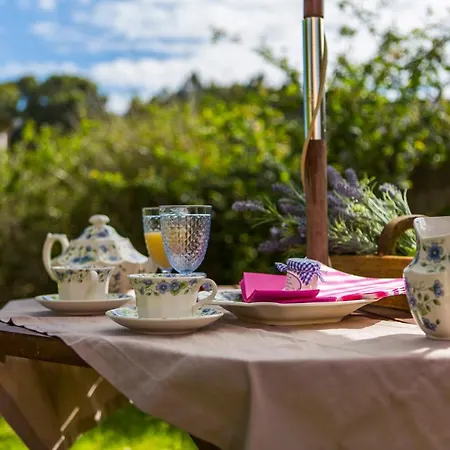 Mascotas Brais * San Miguel Reinante